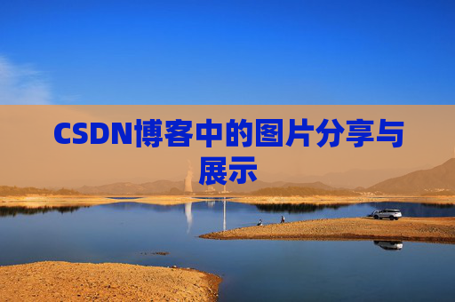 CSDN博客中的图片分享与展示